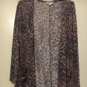 Lularoe Pink Leopard Sarah